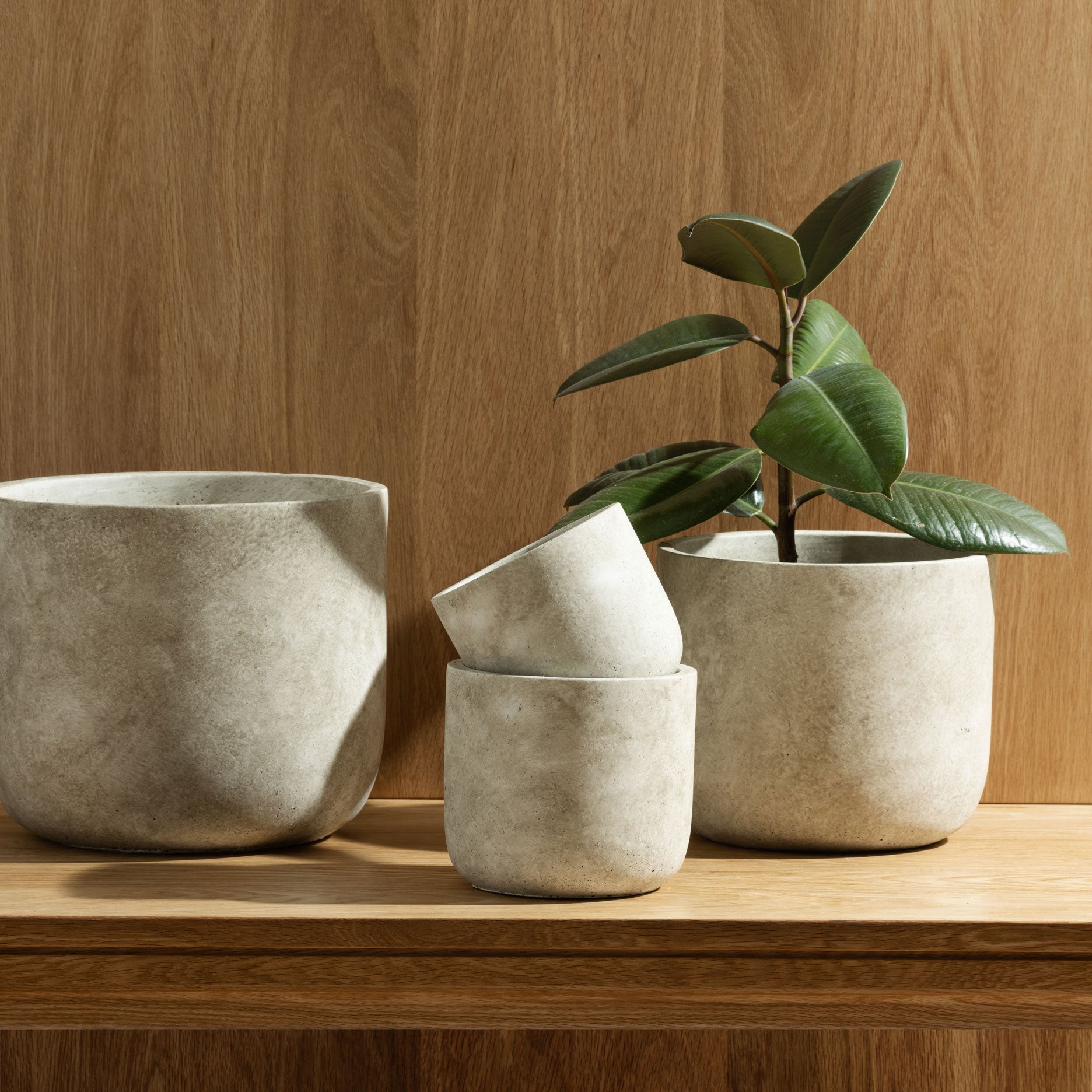 Christian II urtepotte